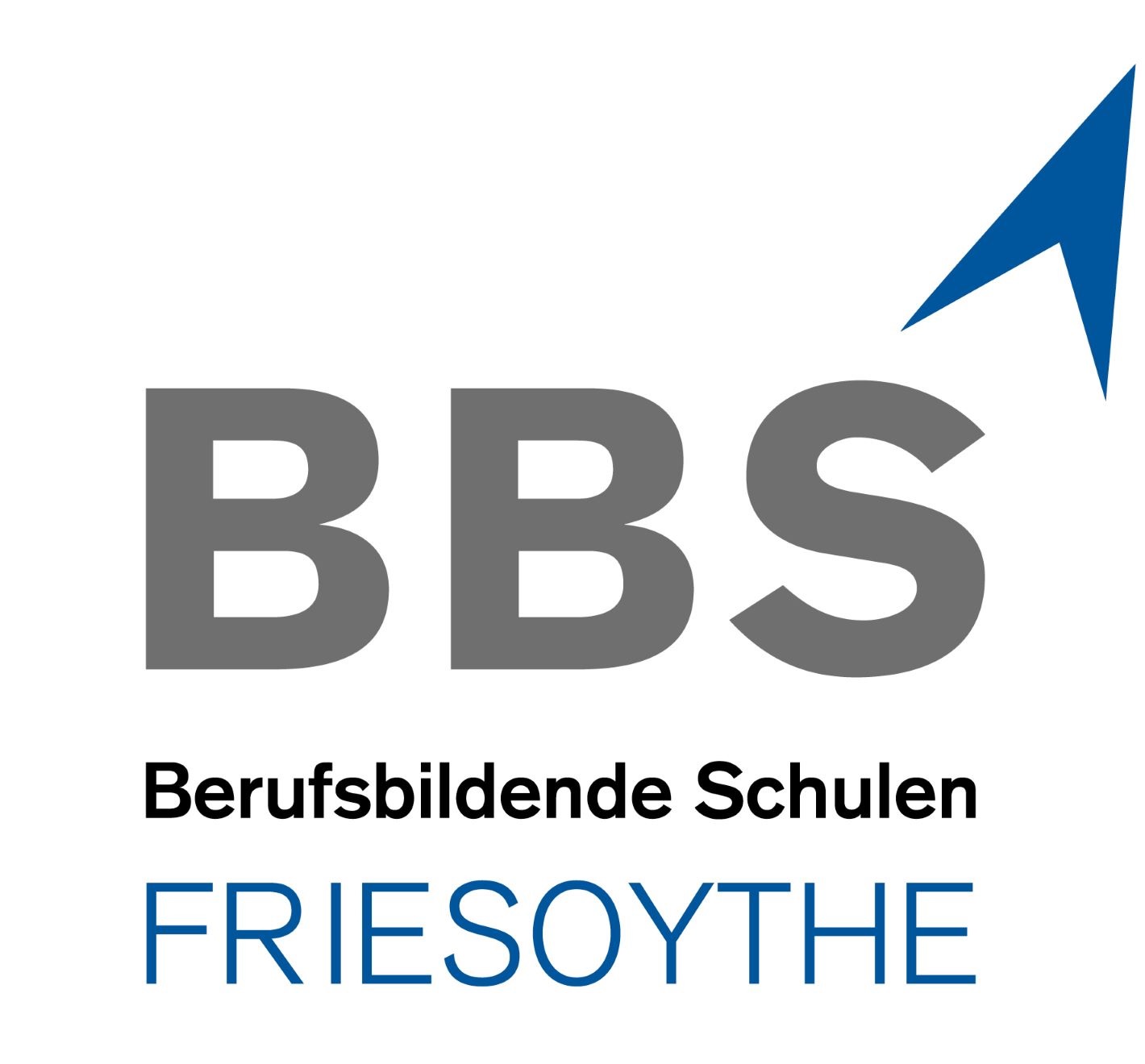 BBS Friesoythe DNS